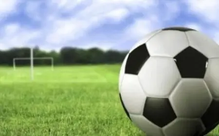 كم عدد لاعبي كرة القدم