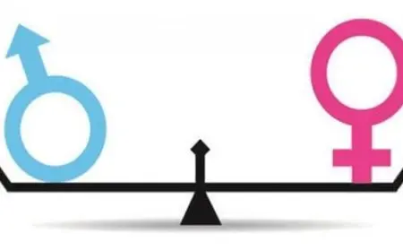 تقرير عن حقوق المرأة ودور المنظمات العالمية