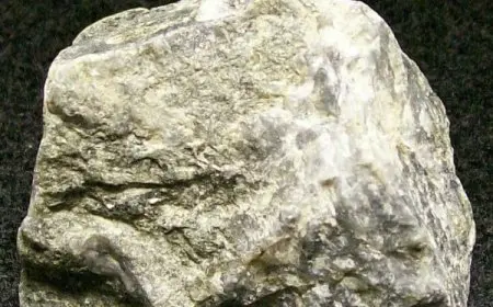 أنواع الصخور التي تحتوي على الذهب