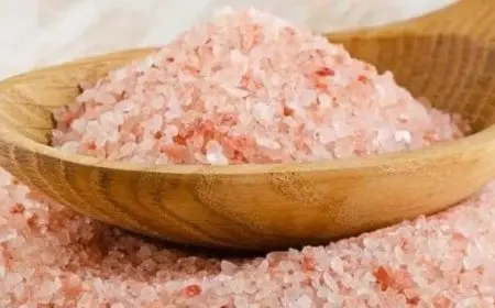 سعر ملح الهيمالايا في مصر