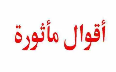 حكم عن الناس التافهة