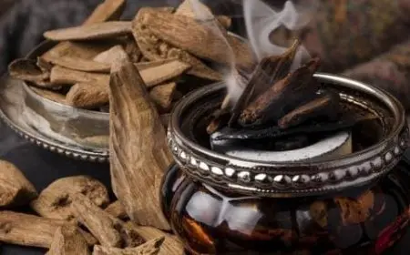 طريقة عمل بخور سبايك