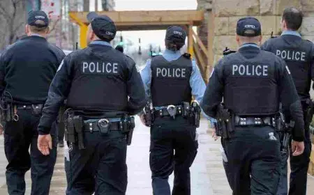 مميزات وعيوب الظباط المتخصصين