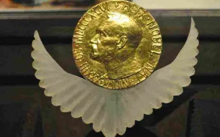 تعريف جائزة نوبل للسلام بالانجليزية باختصار