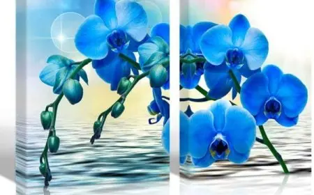 إلى ماذا ترمز زهرة الأوركيد