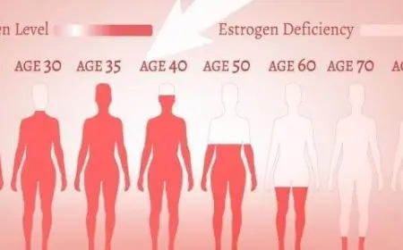 ما هو هرمون الأستروجين