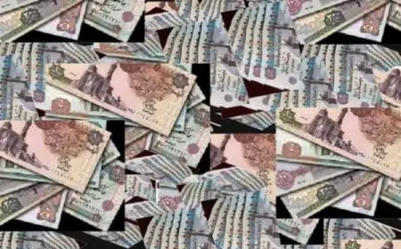 أعلى فائدة شهرية في البنوك المصرية
