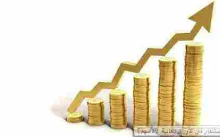 مخاطر الاستثمار في الأوراق المالية