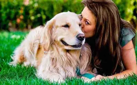 أسرار حب الحيوانات في علم النفس