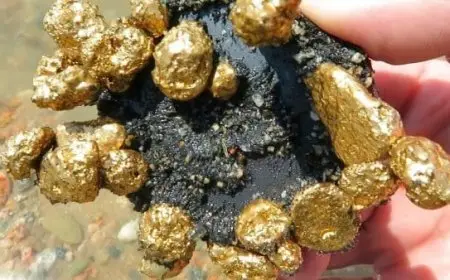 كيف تصنع مغناطيس الذهب