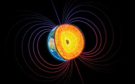 كيف تستدل على وجود مجال مغناطيسي؟