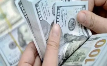 حكم القرض بضمان الوديعة دار الإفتاء المصرية