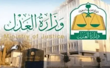 الاستعلام عن صحيفة دعوى