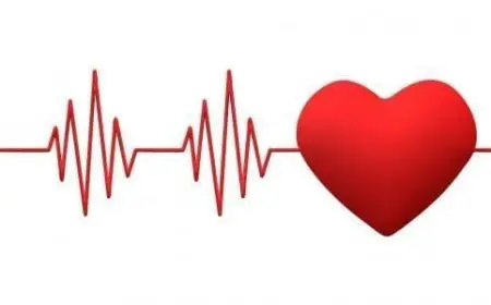 رسام القلب يرسل للطبيب للتعبير عن حالة القلب