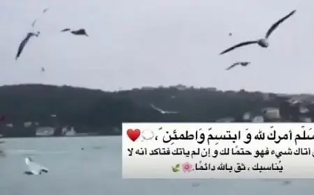 حالات واتس معبرة وهادئة