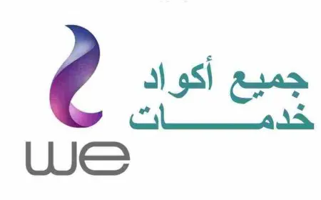 طرق معرفة رقم خط وي we المصرية للإتصالات 015