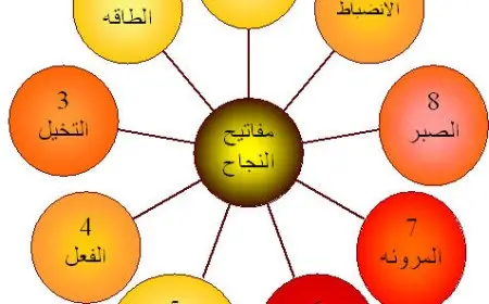 مفاتيح النجاح في الدراسة