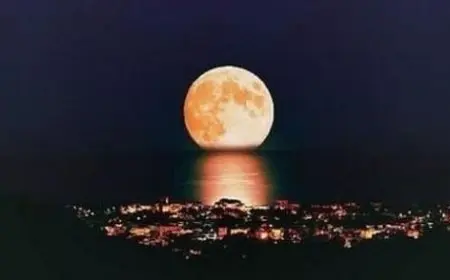 شعر عن الاشتياق في الليل