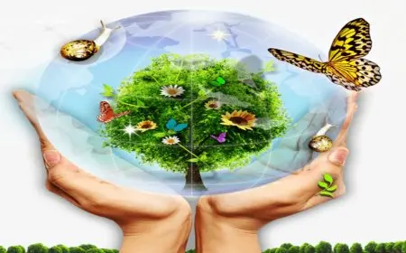 عناوين عن البيئة جذابة للصف الاول والثانى والثالث الاعدادى