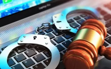 تخصص قانون جنائي ومجالاته