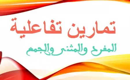 تمارين المفرد والمثنى والجمع وإعرابهم في اللغة العربية