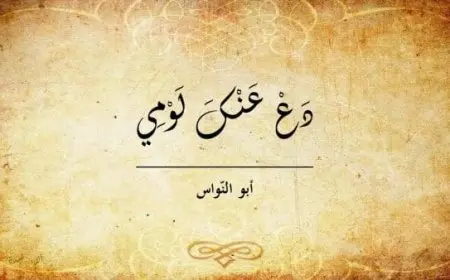 شرح قصيدة دع عنك لومي