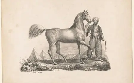 شرح قصيدة مالك بن الريب يرثي نفسه كاملة