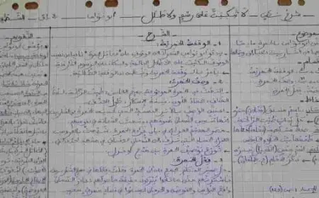 شرح نص لا تبكين على رسم ولا طلل