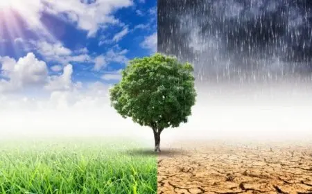 أي العوامل التالية مهم في تحديد المناخ