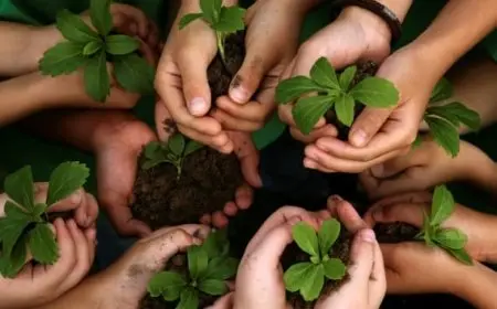 دور القدوة في التعامل مع البيئة