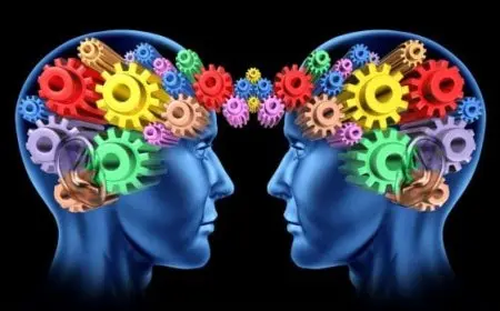 تخصص علم النفس أدبي أم علمي