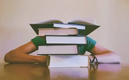 تجربتي مع تخصص القانون