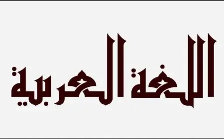 ما هو الضمير في اللغة العربية