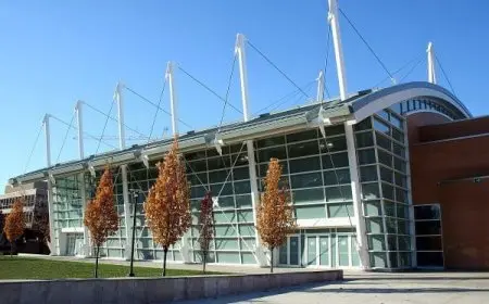 تخصصات شعبة تسيير واقتصاد