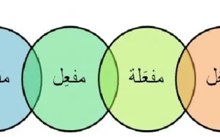 ما هو المصدر في اللغة العربية