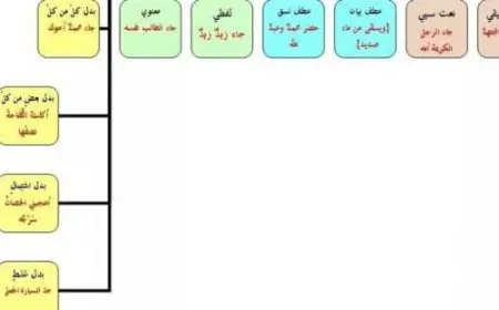 التوابع في اللغة العربية