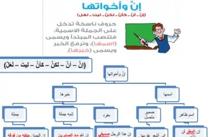 تدريبات على إن وأخواتها