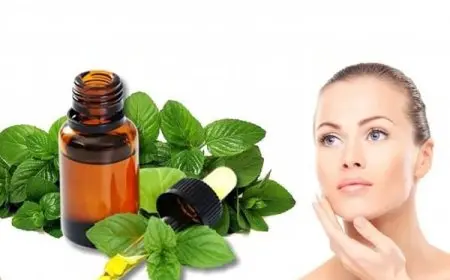 فوائد زيت النعناع للشفايف