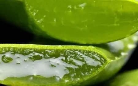فوائد الألوفيرا للوجه قبل النوم