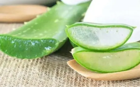 جل الألوفيرا للمنطقة الحساسة