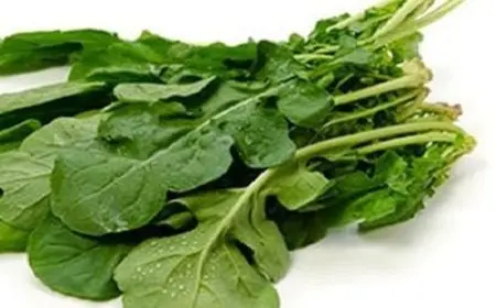 فوائد أكل الجرجير للشعر