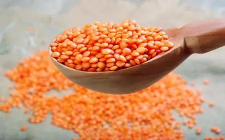 هل العدس مسموح في الكيتو