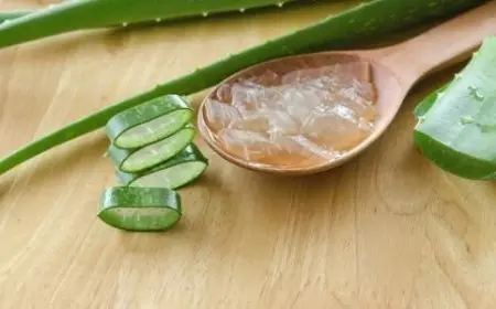 تجارب الصبار لحب الشباب