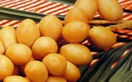 هل الرطب يزيد الوزن