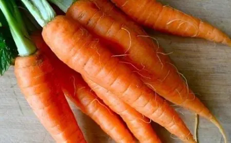 هل الجزر مسموح في الكيتو دايت