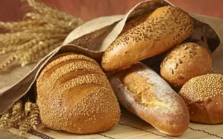 خبز الشعير يزيد الوزن  
