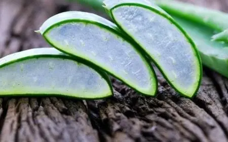 فوائد الصبار للبشرة والشعر