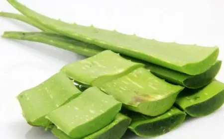 جل الصبار للوجه قبل النوم