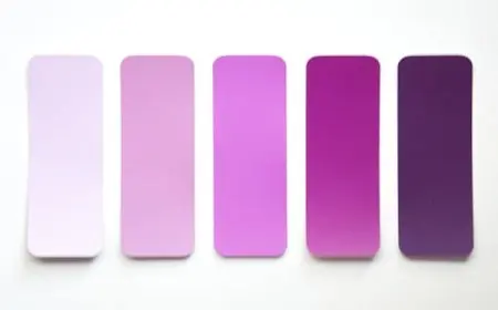 اللون البنفسجي وما يناسبه من ألوان