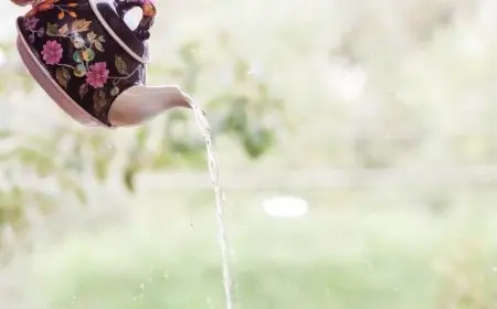 فوائد شرب الماء الساخن على الريق للتخسيس